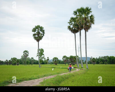 An Giang, Vietnam - Aug 7, 2016. A woman carrying grass on countryside road in An Giang, Vietnam. The Mekong Delta is also Vietnam's most important ec Stock Photo