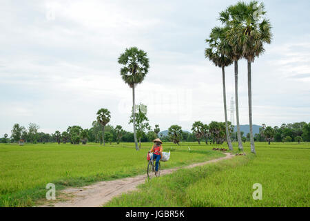 An Giang, Vietnam - Aug 7, 2016. A woman carrying grass on rural road in An Giang, Vietnam. The Mekong Delta is also Vietnam's most important economy  Stock Photo