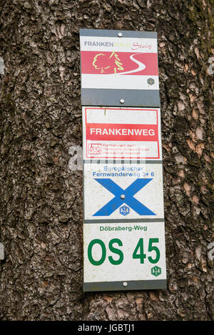 Hiking trail markings on tree trunk, Döbraberg near Schwarzenbach am Wald, Franconian forest, Upper Franconia, Franconia