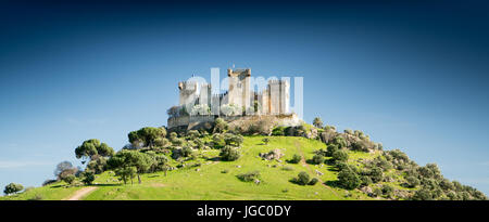 Ancient Roman castle on  green hill against a deep blue cloudless sky.  landscape format with copyspace. The castle is the Castillo de Almodóvar del R Stock Photo