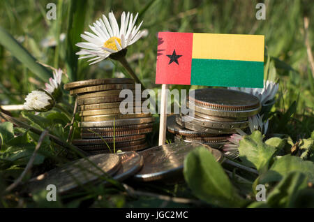 Guinea Bissau flag with stack of money coins with grass and flowers Stock Photo