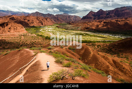 The road from Cachi to San Antonio de los Cobres, in Puna region of Salta in northern Argentina Stock Photo