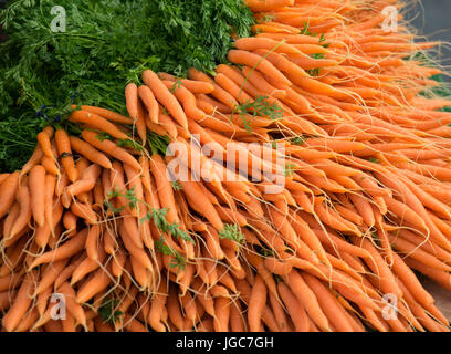 Pile of fresh, raw carrots at a farmers market. Stock Photo