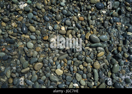 Wet pebbles along the beach Stock Photo