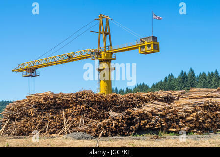 Crane processing a large stockpile of cut logs at a logging plant Stock Photo