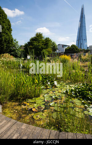 London, UK. 5th July, 2017. Red Cross Garden, an historic and award-winning park restored to its original Victorian design, where the London Assembly Environment Committee launched its report 'Park life: ensuring green spaces remain a hit with Londoners’. Credit: Mark Kerrison/Alamy Live News Stock Photo