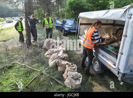 Birkenwerder, Germany. 04th July, 2017. Co-workers of Christina Graetz, certified biologist and CEO of the company Nagola Re GmbH, load bags filled with anthills in a forest at the Autobahn A10 near Birkenwerder, Germany, 04 July 2017. Photo: Patrick Pleul/dpa-Zentralbild/dpa/Alamy Live News