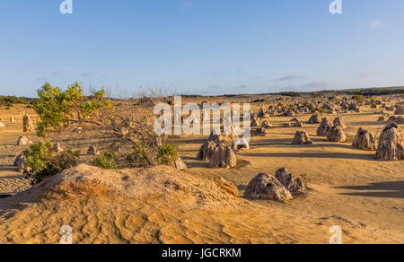 The Pinnacles, Nambung National Park, Perth, Western Australia, Australia Stock Photo