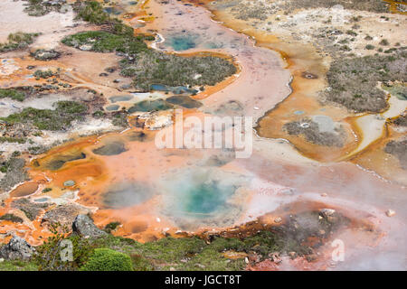 Hotsprings at Artists Paintpots in Yellowstone National Park Stock Photo