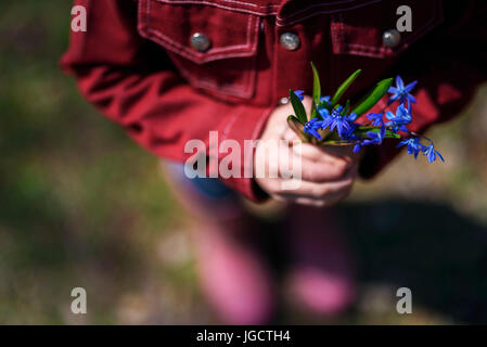 Boy holding flowers Stock Photo