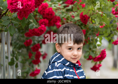Portrait of a smiling boy standing in front of a rose bush Stock Photo