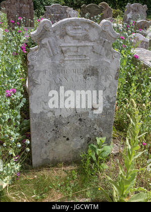 Headstones in a wildlife section of a cemetery with wild flowers and grasses Stock Photo