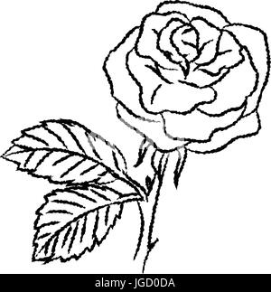 Hand drawn sketch of Rose isolated, Black and White Cartoon Vector Illustration for Coloring Book - Line Drawn Vector Stock Vector