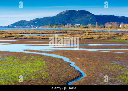 Salt marshes landscape. Stock Photo