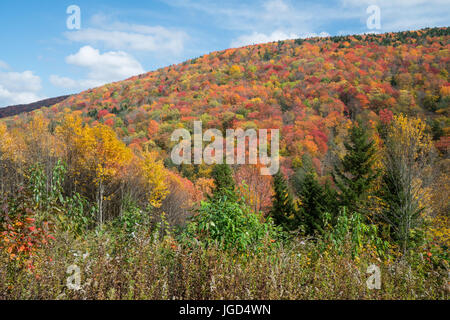 Autumn in the West Virginia Moutains Stock Photo