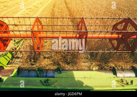 Combine harvester revolving reel harvesting wheat field from farmers pov Stock Photo