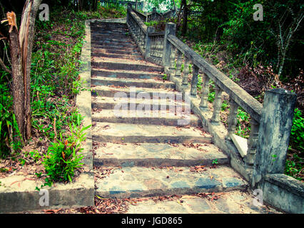 A picturesque staircase  in the jungle of Vietnam. Stock Photo