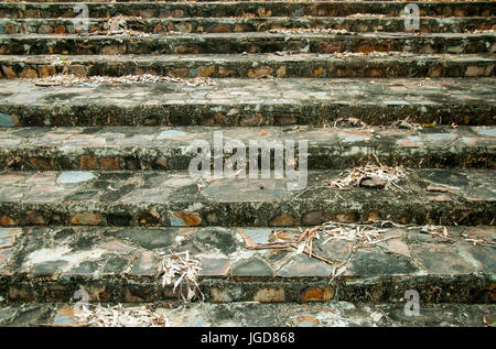 A picturesque staircase  in the jungle of Vietnam. Stock Photo