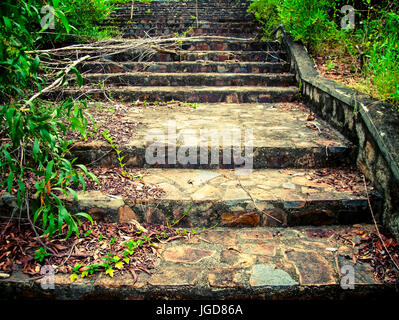 A picturesque staircase  in the jungle of Vietnam. Stock Photo