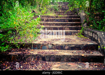 A picturesque staircase  in the jungle of Vietnam. Stock Photo