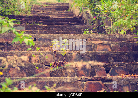 A picturesque staircase  in the jungle of Vietnam. Stock Photo