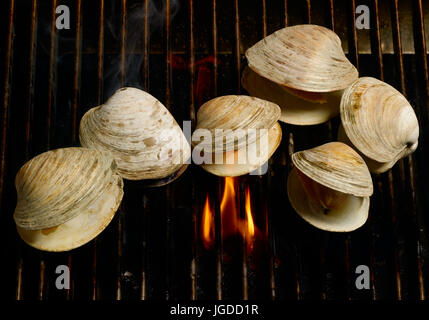Clams cooking on a grill Stock Photo