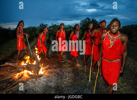 KENYA, MASAI MARA - SEPTEMBER 22, 2015: Warriors the Masai tribe dancing ritual dance around the fire late in the evening. Stock Photo