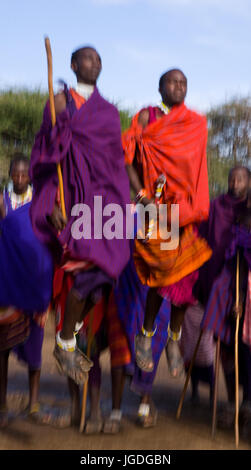 KENYA, MASAI MARA - JULY 19, 2011: The man of a tribe Masai shows ritual jumps. Stock Photo