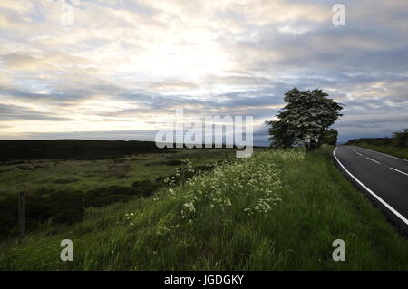 Peak District, looking east towards Ringinglow from OS grid 273833 on Hallam Moors west of Sheffield Derbyshire/South Yorkshire border UK Stock Photo