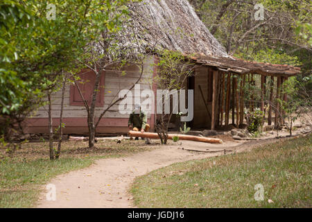Old man wokring with a machete in a wooden house Trinidad, Cuba Stock Photo