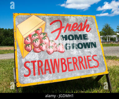 Sign at a farm stand selling strawberries in Mahwah, New Jersey Stock Photo