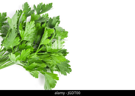 Bouqet of Parsley isolated on white with lots of copyspace. Stock Photo