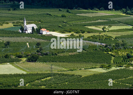 Look about the Vinschgau with fruit cultivation, Blick über das Vinschgau mit Obstanbau Stock Photo