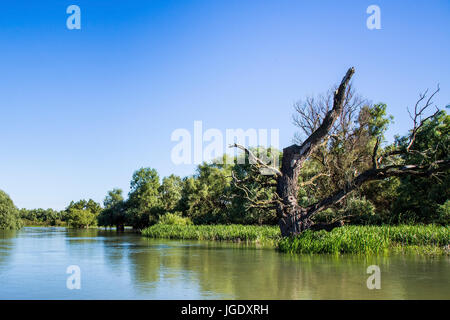 Scenery in the Danube delta, Romania, Landschaft im Donaudelta, Rumänien Stock Photo