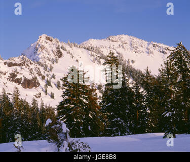 USA, Oregon, Crater Lake National Park, Snowy slopes of Garfield Peak rise above forest of mountain hemlock. Stock Photo