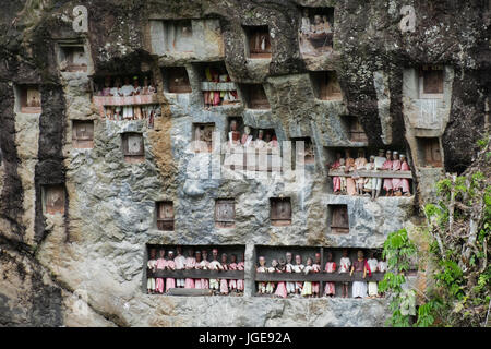 Lemo Toraja Stock Photo