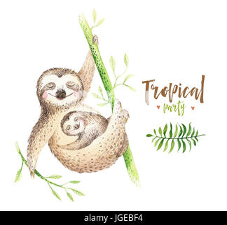 Baby animals sloth nursery isolated painting. Watercolor boho tropical drawing, child tropical illustration. cute palm tree leaves, tropic green texture, exotic flower. Aloha drawing Stock Photo