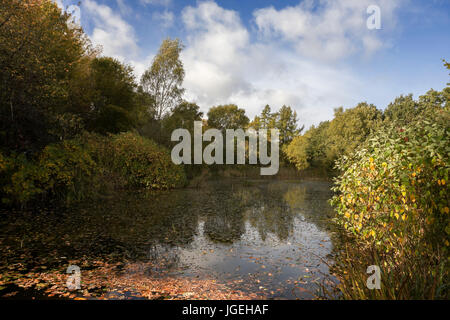 Lake in Vogrie Country Park, Midlothian, Scotland on a sunny Autumn day Stock Photo