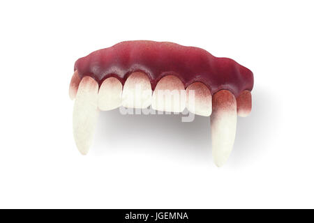 False Vampire Teeth on White Background Stock Photo