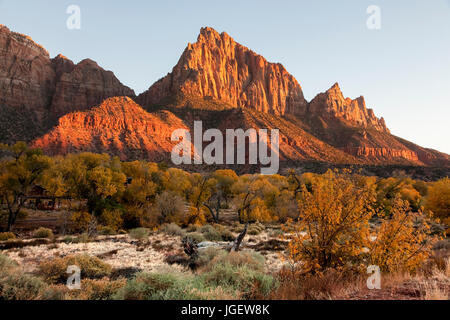 The Watchman peak in Zion National park USA
