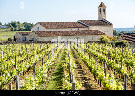 Saint Emilion vineyards in France Stock Photo
