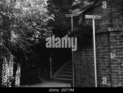 The Arden Steps at 38 Mosswood, on Arden Road, in the Berkeley hills outside Berkeley, California, 1950. Stock Photo