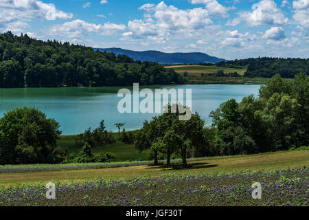 Trekking tour round the Mindelsee, a lake in Radolfzell in Baden-Württemberg near the Lake Constance, Germany