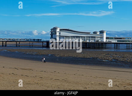 Walking the dog on the beach at Weston-super-Mare, Somerset, England UK Stock Photo