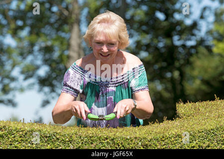 Woman using shears to trim the top of a garden hedge Stock Photo