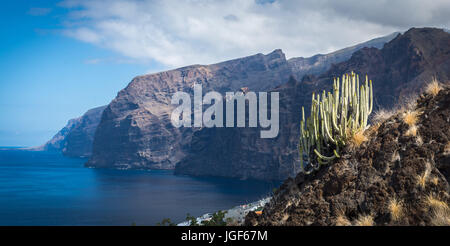Panoramic view of the impressive rock cliffs of Los Gigantes with the typical canary cactus in the foreground. Tenerife Stock Photo