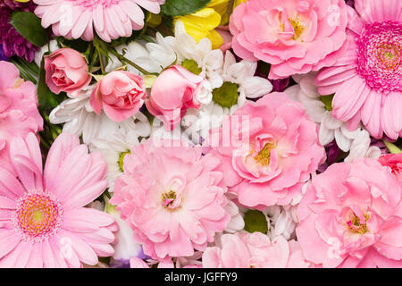 Soft roses, gerbera and chrysanthemum - flowers in pastel colors arranged as a natural background image with beautiful soft white and pink blossoms Stock Photo