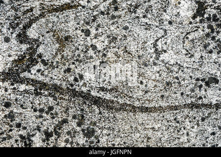 Lewisian complex / Lewisian gneiss, close up of Precambrian metamorphic rock showing grain structure and texture Stock Photo