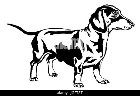 Decorative portrait of standing in profile dog dachshund, vector isolated illustration in black color on white background Stock Vector