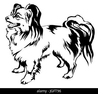 Decorative portrait of standing in profile dog Papillon, vector isolated illustration in black color on white background Stock Vector